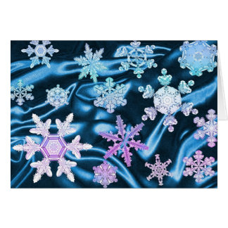 Magia y maravilla de las escamas #3 de la nieve