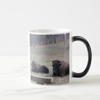 Mágica ¿Caliente o frío? Taza