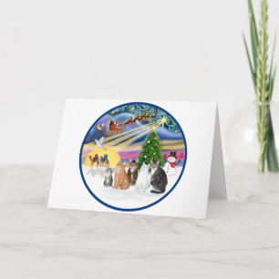 Mágica de Navidad (R) - Cinco gatos (AmSH)