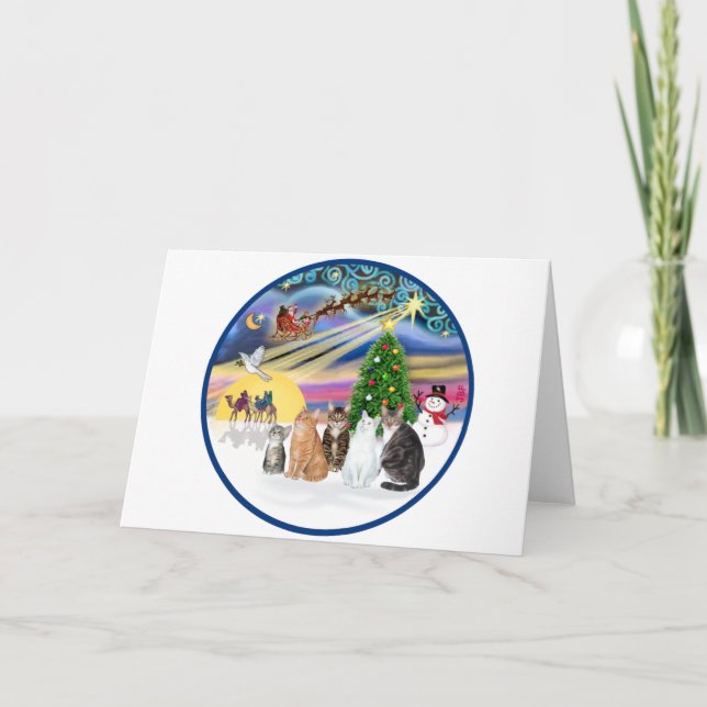 Mágica de Navidad (R) - Cinco gatos (AmSH) (Anverso)