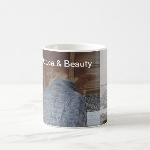 Mágica Dot.ca y taza de la belleza