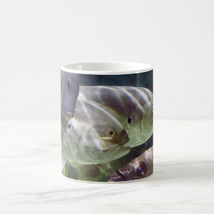 Mágica El arte de los pescados Morph la taza