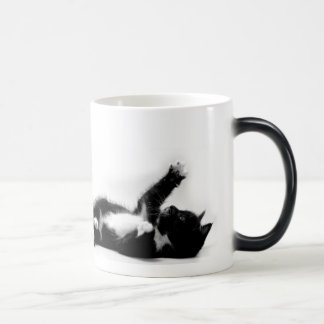 Mágica Gatito blanco y negro en la taza cambiante del