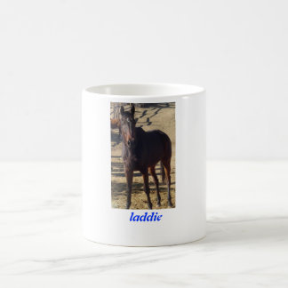 Mágica La taza de oro "Laddie " de la zanahoria