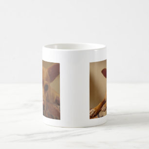 Mágica La taza II de Bubba