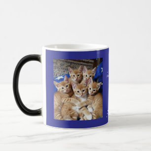 Mágica Patrón de foto de gatos, taza