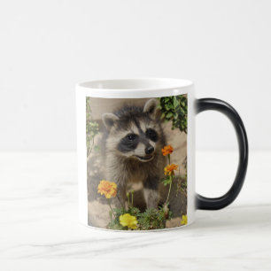 Mágica Raccooon - taza Morphing