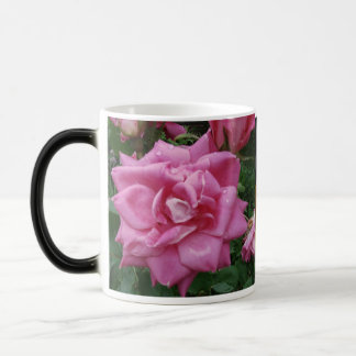 Mágica Rosas de la taza de la amistad y del amor
