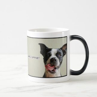 Mágica Taza de café del amor de Boston Terrier I