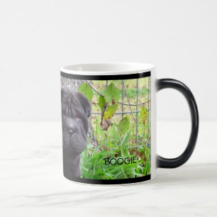 Mágica Taza de la boogie