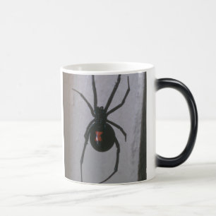 Mágica Taza de la viuda negra