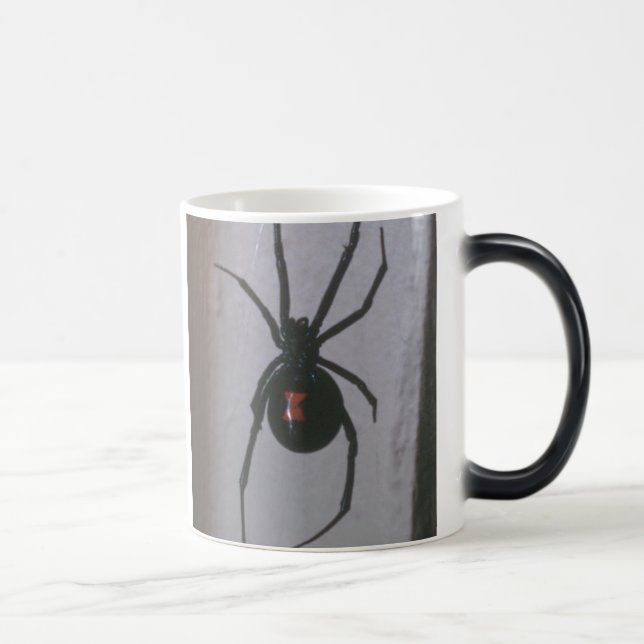 Mágica Taza de la viuda negra (Derecha)