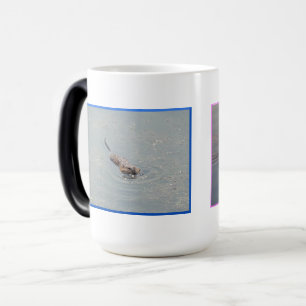 Mágica Taza de transformación de rata almizclera