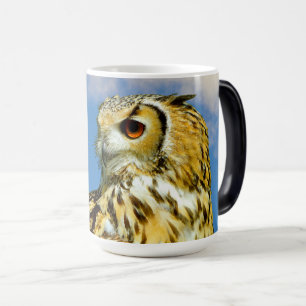 Mágica Taza del búho real euroasiático