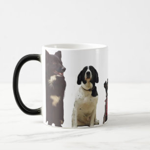 Mágica Taza del mascota del perro