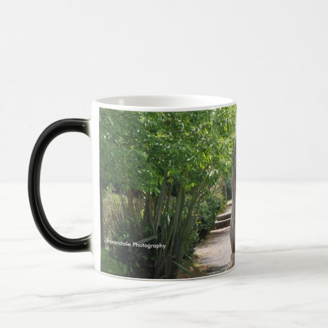 Mágica Taza del "milenio" (Izquierda)