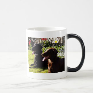 Mágica Taza del perro perdiguero de Flatcoated