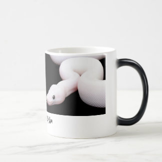 Mágica Taza del pitón de la bola de Leucistic