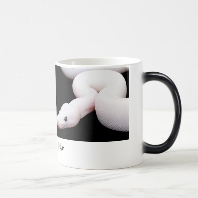 Mágica Taza del pitón de la bola de Leucistic (Derecha)