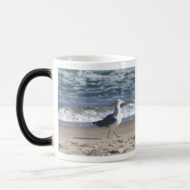 Mágica Taza Gaviota en la Playa