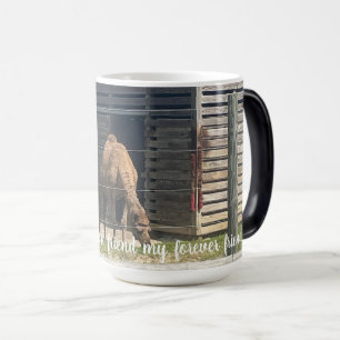 Mágica Taza mamá taza