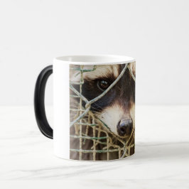 MÁGICA TAZA MORFOLOGÍA MAPACHE