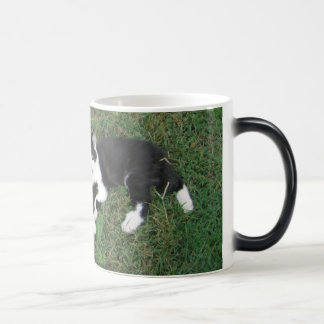 Mágica Taza Morphing de la granja de Baldwin