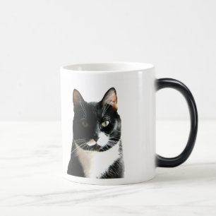 Mágica Taza Morphing de la mirada fija del gato del palo
