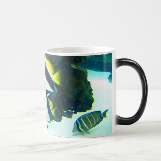 Mágica Taza Morphing de los pescados 14
