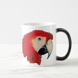 Mágica Taza Morphing del pájaro del loro del Macaw