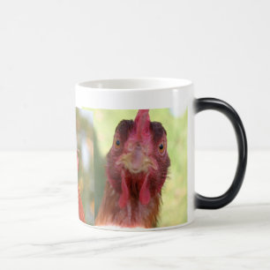 MÁGICA TAZA MORPHING DEL PÁJARO DIVERTIDO