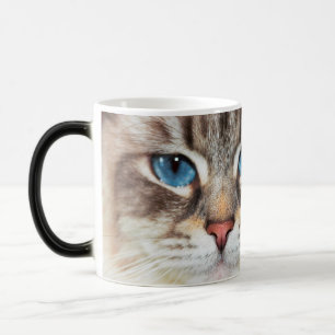 Mágica Taza morphing del purrr-fection de los ojos azules