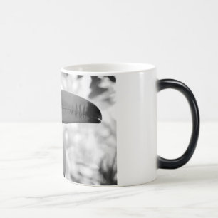 Mágica Toucan Morph la taza