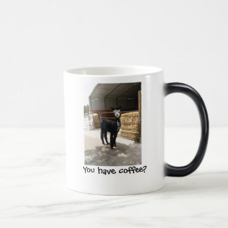 Mágica ¿Usted tiene café? taza