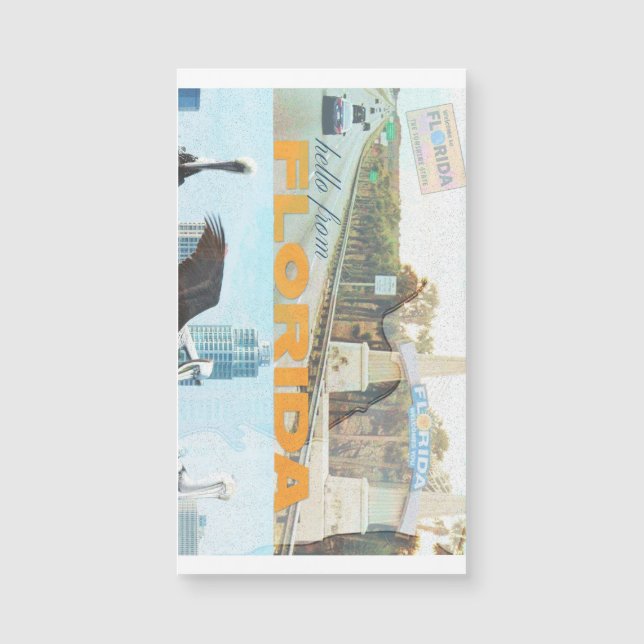 Magnate de Florida (Anverso)