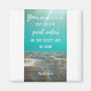 Magnet cuadrado de 2 pulgadas - imán de aguas ant