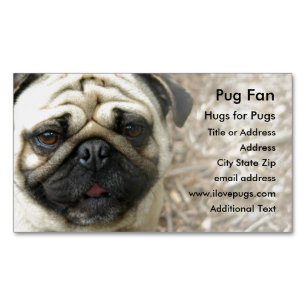 Magnética Foto Pug - Tarjeta de visita Magnet
