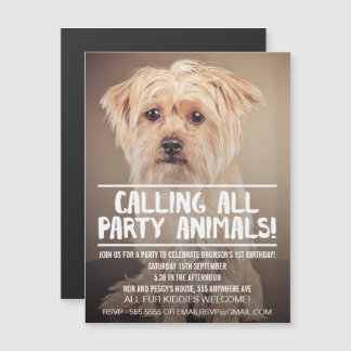 Magnética |MAGNET| Invitación a la fiesta de los perros