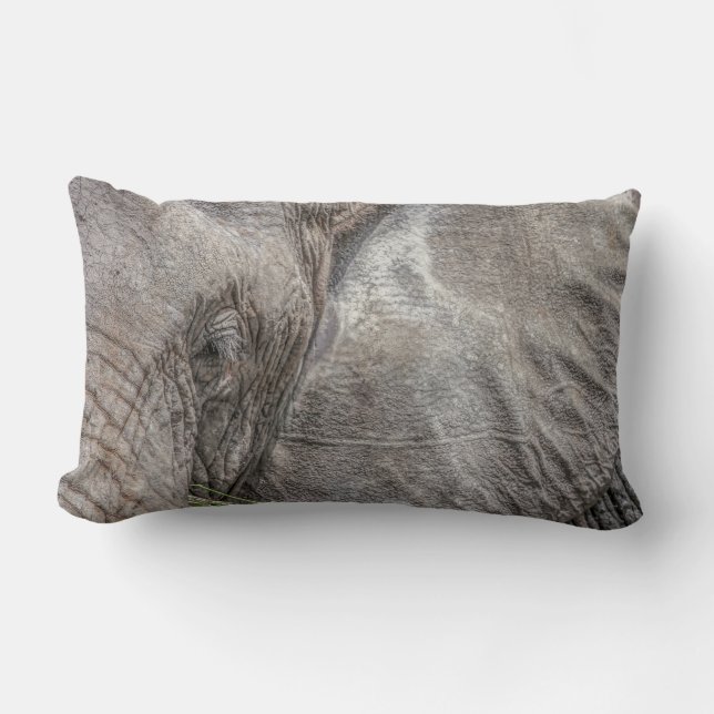 Magnífica almohada elefante (Anverso)