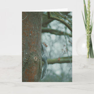 Magnífica fotografía de una tarjeta en blanco de a