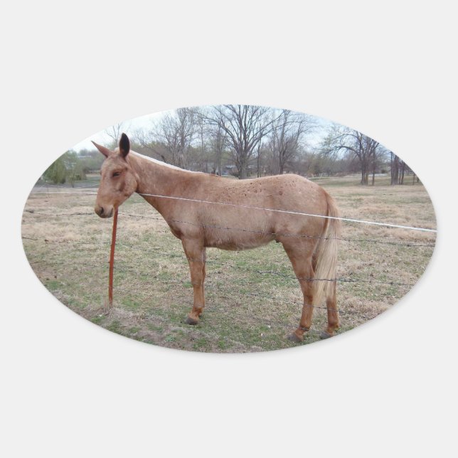 ¡Magnífica Mule! Pegatina Oval (Anverso)