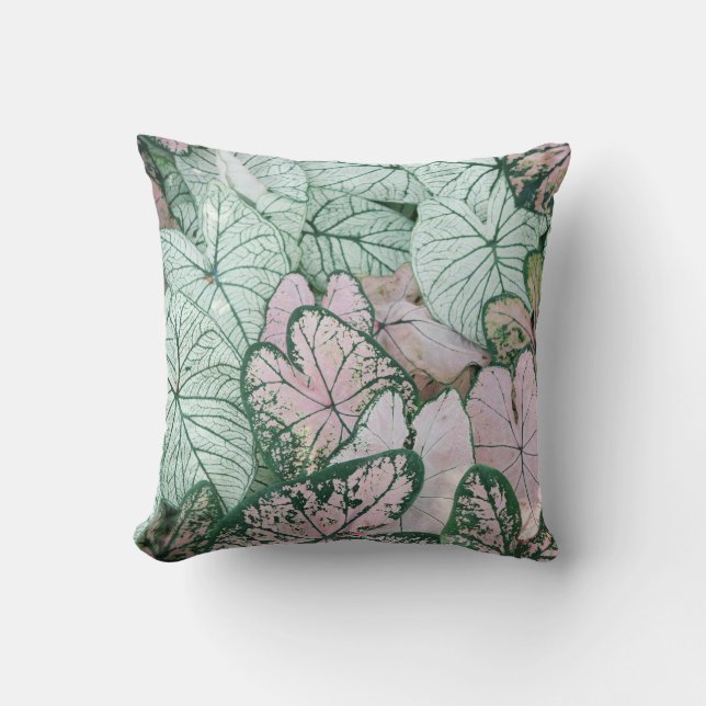 Magnífica planta rosa y verde de almohada (Anverso)