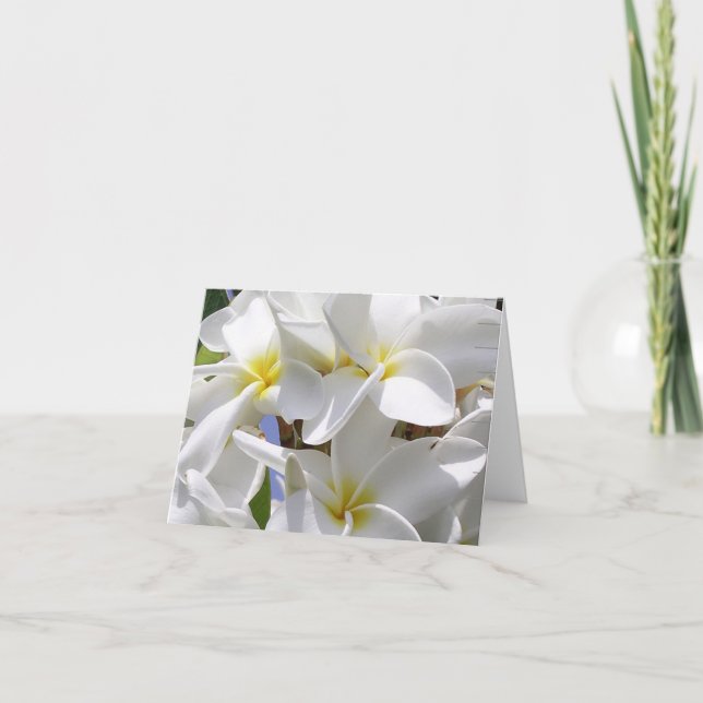 Magnífica tarjeta de notas para plumeria de Hawái (Anverso)