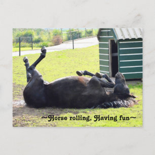 Magnífica tarjeta postal para rodar caballos