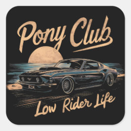 MAGNÍFICAS PEGATINAS DE AUTOMÓVILES