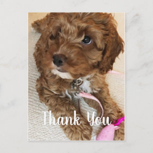 Magnífico Cachorro de cachorro Gracias Tarjeta
