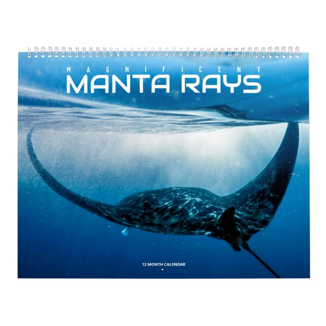 Magnífico calendario de Manta Rays (Tapa)