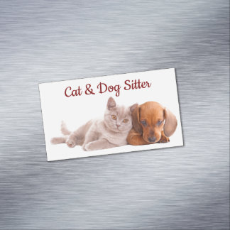 Magnífico de tarjetas de visita de porcino y gato