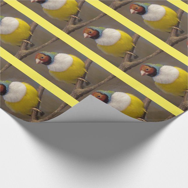 Magnífico papel de envolver de finca gouldian (Esquina)