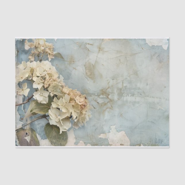 Magnífico papel hidránico de regalo (Anverso)